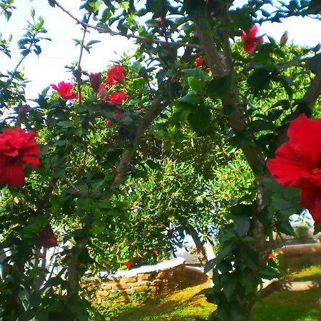 Apartament Paros Rita