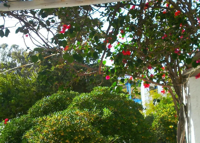 Paros Rita * פיסו ליבאדי